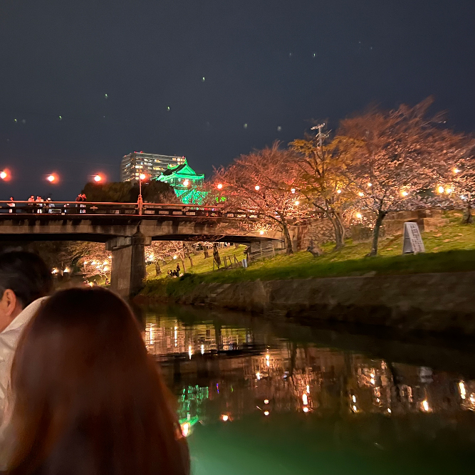 絶景の夜桜お花見♪ with岡崎城
